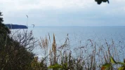 DSCF9706 (2).webp