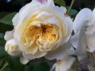 20180828_191907.webp