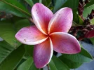 20180828_191738.webp
