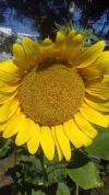 20180827_101339.webp