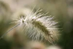 K800_DSC_6323.webp