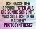 megalol_56260.webp