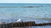 DSCF9999 (2).webp
