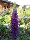 20180907_112346.webp