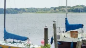 DSCF9770 (2).webp