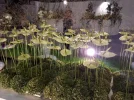 20180903_094430.webp