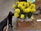 20180903_093857.webp