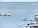 DSCF0013 (2).webp