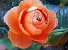 20180912_102738.webp