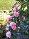 20180912_102705.webp
