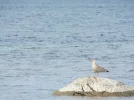 DSCF0020 (2).webp