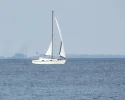 DSCF0017 (2).webp