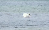 DSCF0016 (3).webp