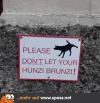 3 hund.webp