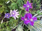 20180907_112307.webp
