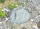 DSCF0001 (3).webp