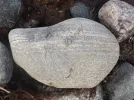 DSCF0039.webp
