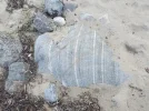 DSCF9995.webp