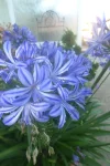 p1100225onsqr.webp