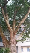20180511_200154.webp