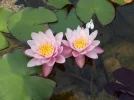 20180911_114626.webp