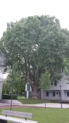20180511_113742 (1).webp