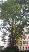 20180513_181730.webp