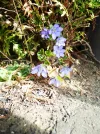 IMG_20170331_163525.webp