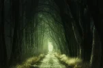secret-3120483_1920.webp