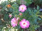 20180918_142042.webp