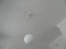 P9091286.webp