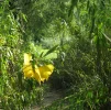 IMG_2784 (2).webp