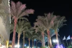 IMG_2592.webp
