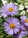 IMG_20180927_173239.webp