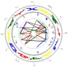 Hajo Radix.webp