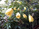 20180922_161715.webp