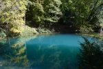 DSC_0053.webp