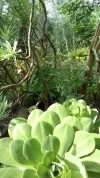 20180926_153047.webp