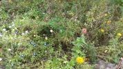20180926_152319.webp