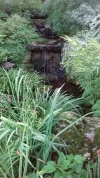 20180928_085718.webp