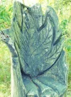 elfenthron.webp
