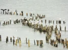 DSCF0453 (2).webp