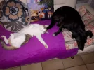 20181002_062103.webp
