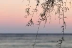 K800_DSC_6604.webp