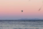K800_DSC_6631.webp