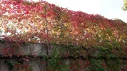 20181003_162441.webp