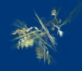 FABERGE C12.webp