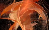 apophysis_2.webp