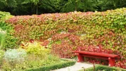DSCF0396 (2).webp