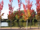 IMG_4276.webp